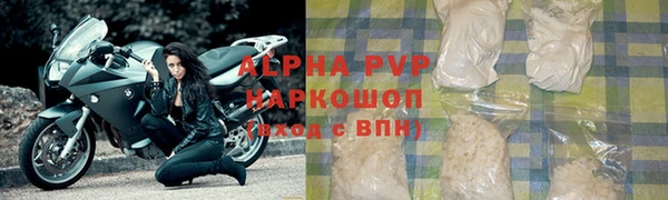 PSILOCYBIN Верхний Тагил