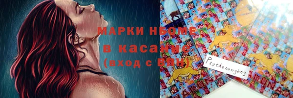 a pvp Бородино