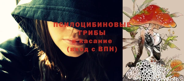 a pvp Бородино