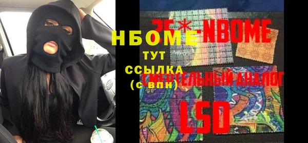 a pvp Бородино