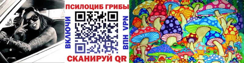 Псилоцибиновые грибы Cubensis Гусь-Хрустальный