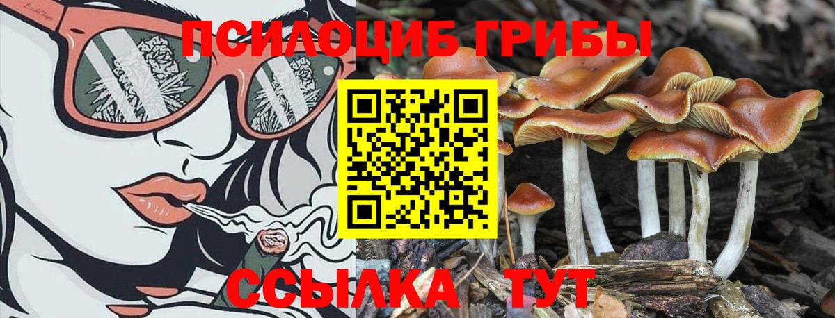 Псилоцибиновые грибы Psilocybine cubensis Гусь-Хрустальный