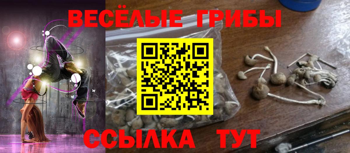 Гашиш  МАРИХУАНА  Гусь-Хрустальный  Кокаин  МЕФ  А ПВП  Вход с VPN  Бошки Шишки  LSD-25 