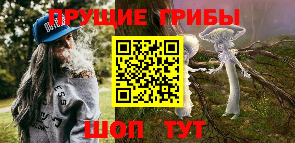 Галлюциногенные грибы мухоморы  хочу наркоту  Галлюциногенные грибы мицелий  Гусь-Хрустальный 