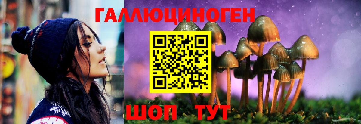 Меф Гусь-Хрустальный