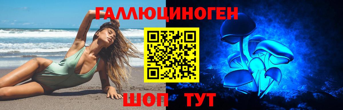 Псилоцибиновые грибы Psilocybe Гусь-Хрустальный